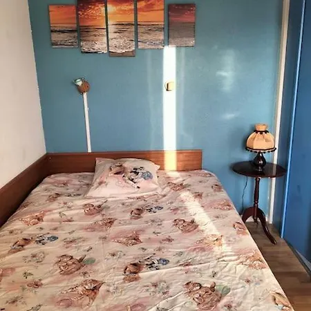 Studio Avec Vue Sur Ocean * La Pironnière